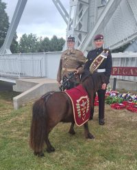 5 et 6 juin 2025_D-Day à Colleville-Montgomery